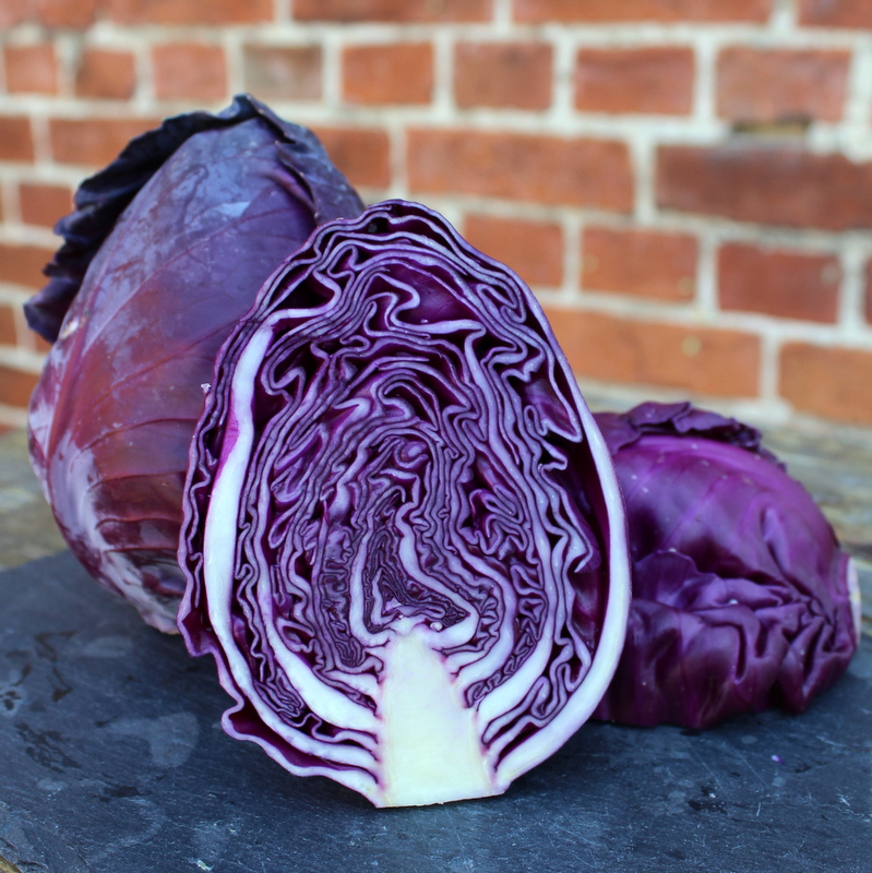 Spitzkohl rot
